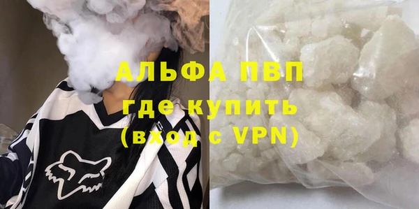 дживик Абаза