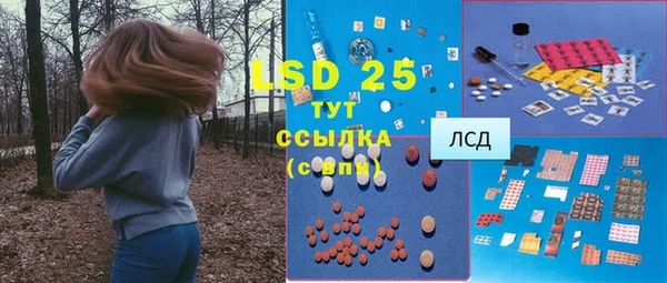дживик Абаза