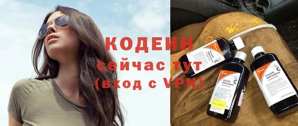 дживик Абаза