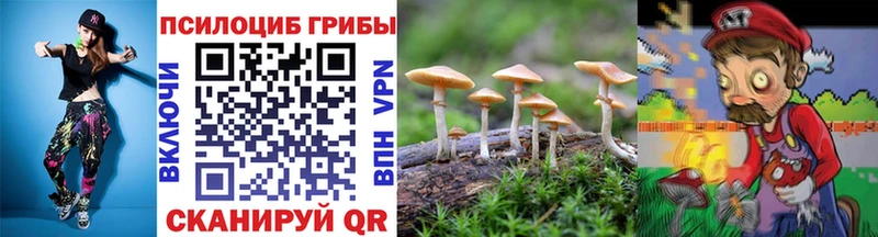 маркетплейс Telegram  купить  цена  Среднеколымск  Псилоцибиновые грибы GOLDEN TEACHER  blacksprut как зайти 